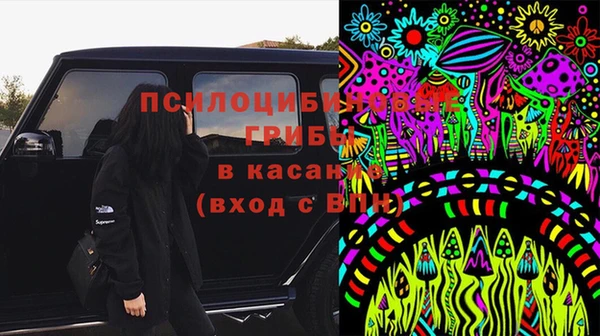 сатива Баксан
