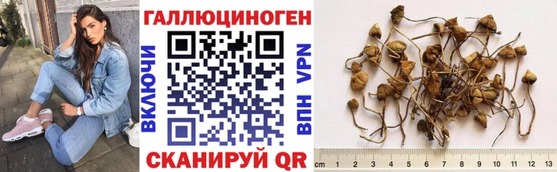 MEGA сайт  даркнет сайт  Котельники  Псилоцибиновые грибы мицелий 